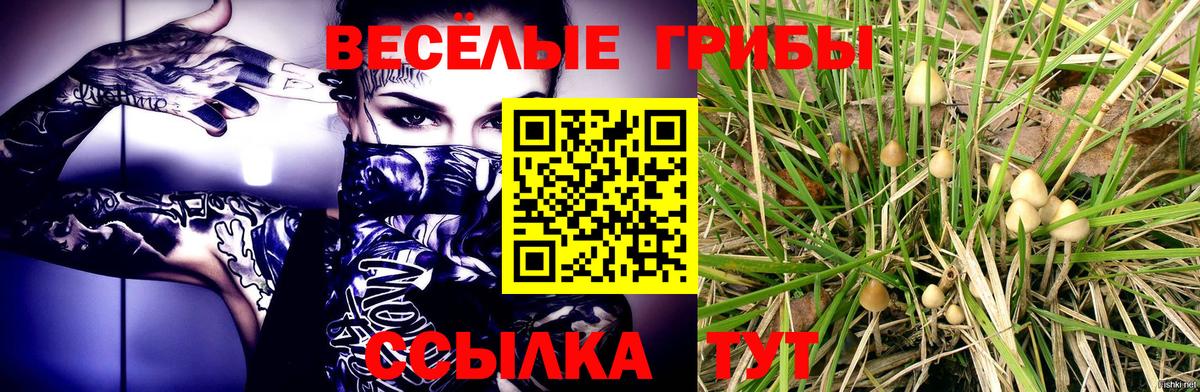 Валуйки  Псилоцибиновые грибы Cubensis  Псилоцибиновые грибы Magic Shrooms  Вход с VPN 